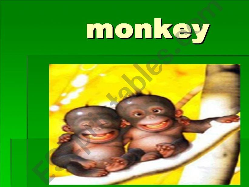 monkey powerpoint
