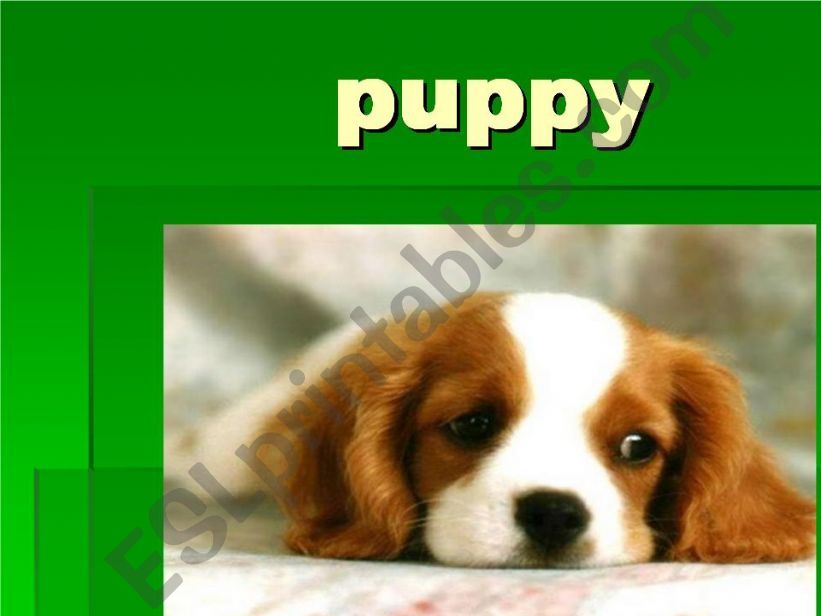 puppy powerpoint