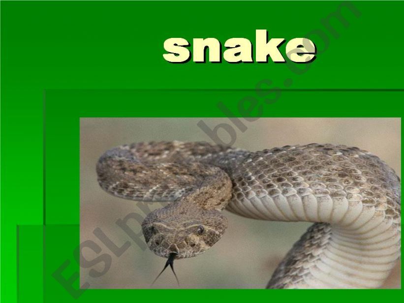 snake powerpoint