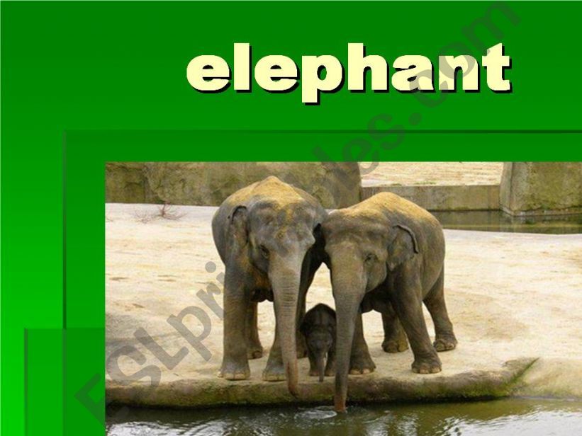 elephant powerpoint