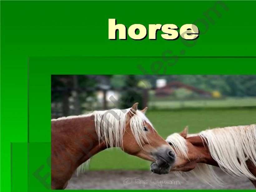 horse powerpoint