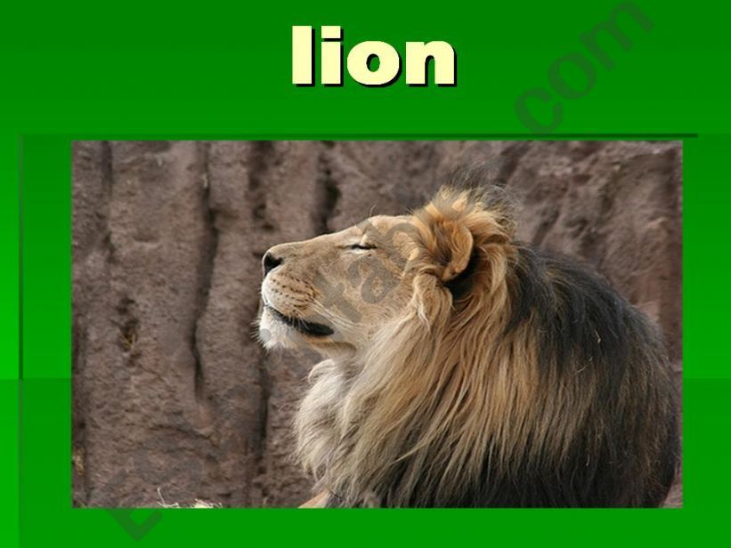 lion powerpoint