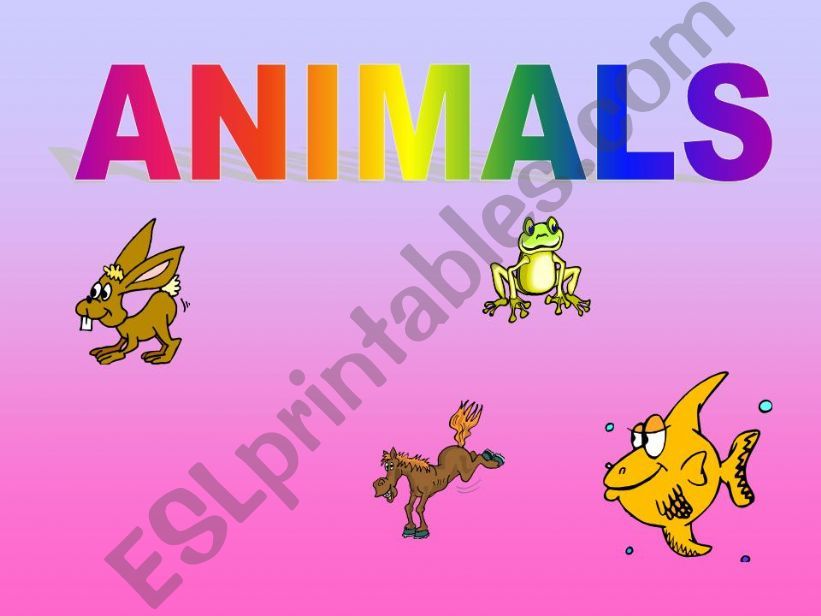 Animals, animals, animals... powerpoint