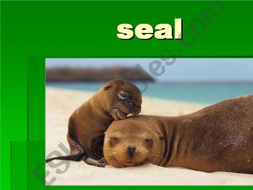 seal powerpoint