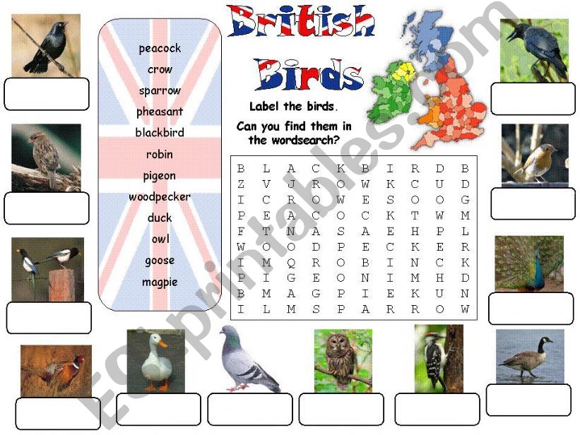 British Birds powerpoint