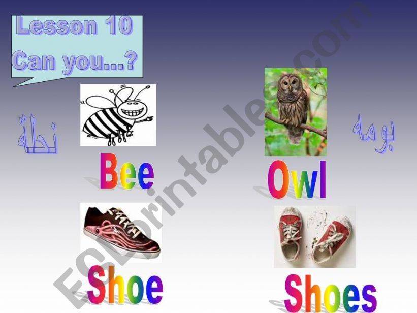 many vocab. very niceeeeee powerpoint