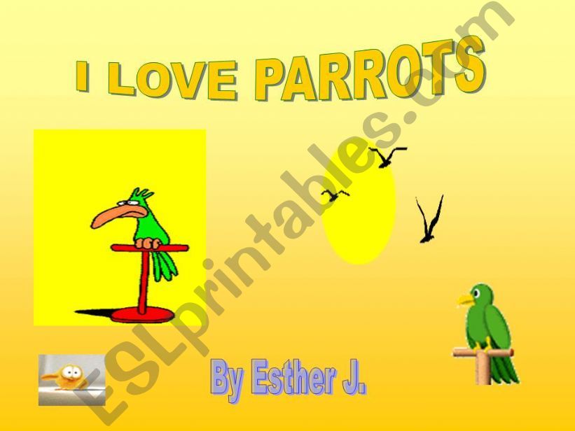 I love parrots powerpoint
