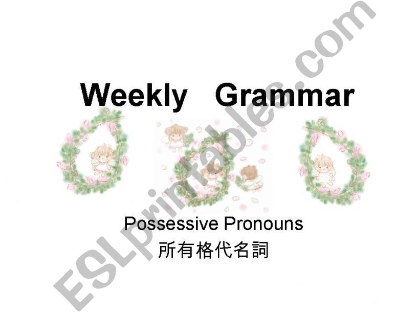 Possessive Pronouns powerpoint