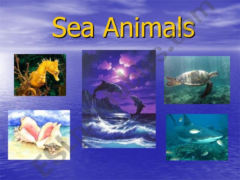 sea animals powerpoint