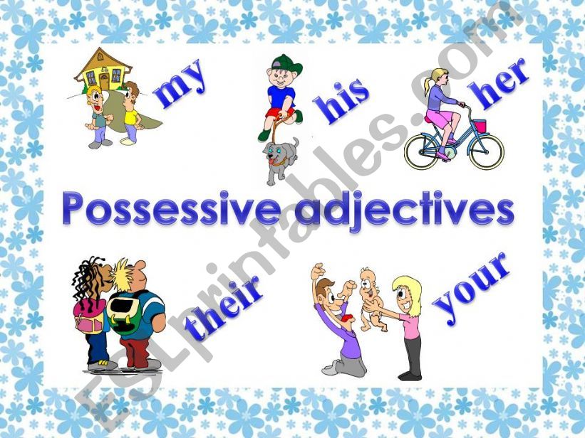 POSSESSIVE ADJECTIVES EXERCISES