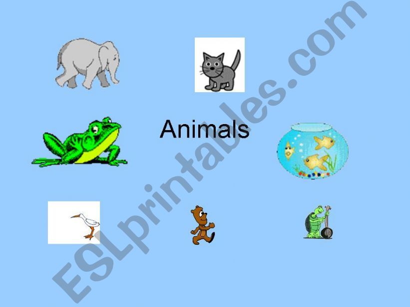 Classification of animals powerpoint
