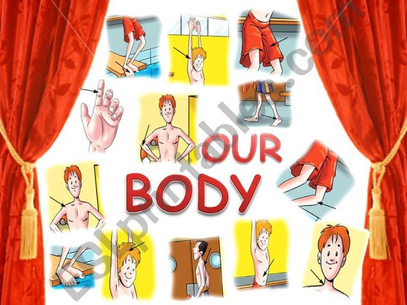 Our Body - Game powerpoint