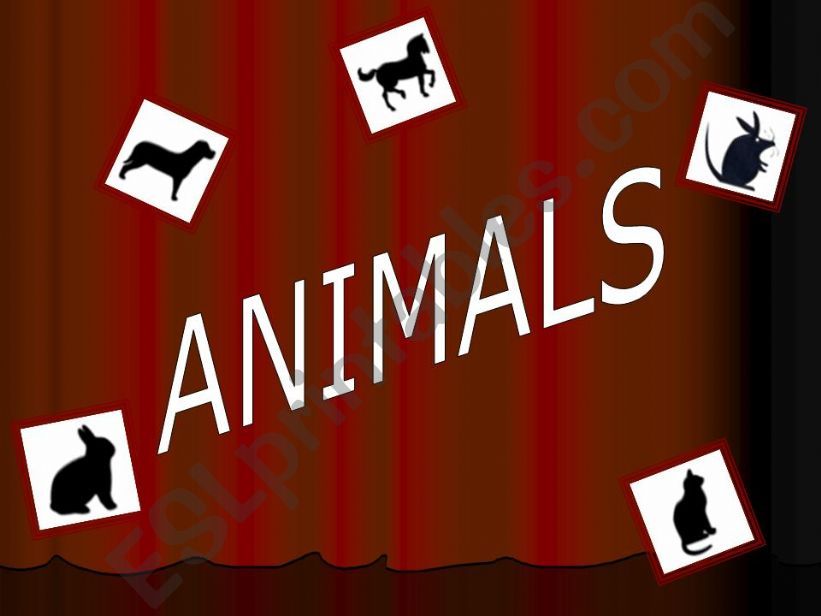 Animals powerpoint