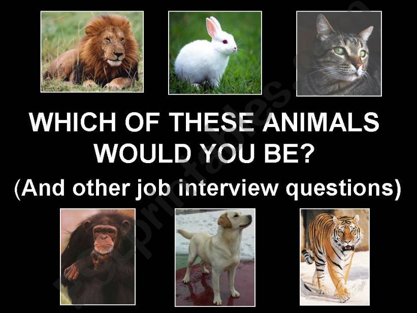 Conversation class: UNUSUAL JOB INTERVIEW QUESTIONS