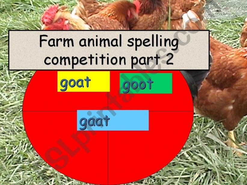 farm animals spelling competetion part2