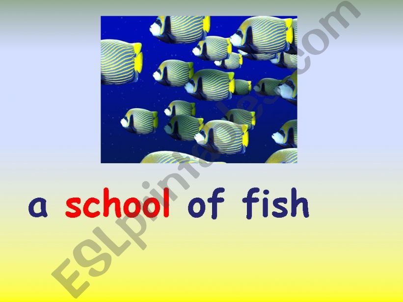MASS NOUNS powerpoint