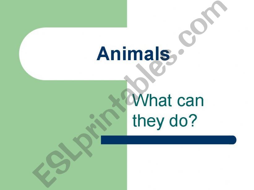 Animals - What can they do? animated ppt
