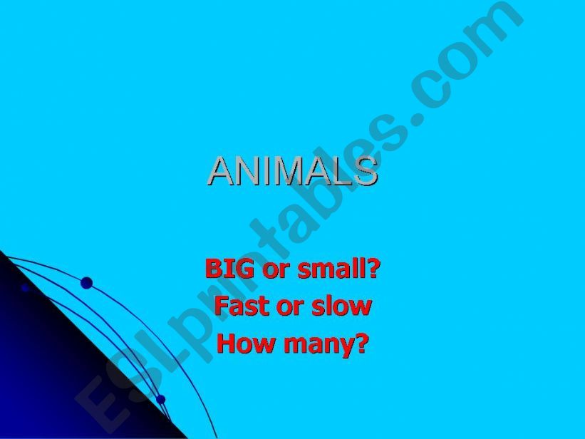ANIMAL counting & big or small