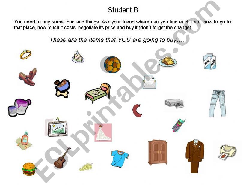 Going shopping - Student B items