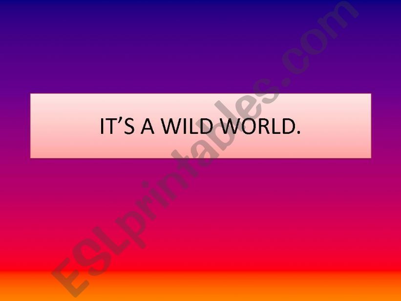 ITS A WILD WORLD powerpoint