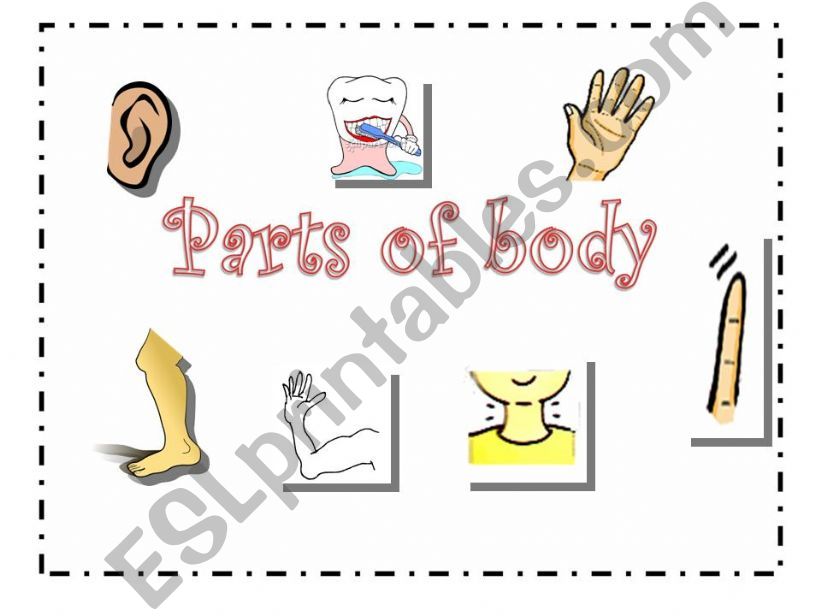 parts of body powerpoint