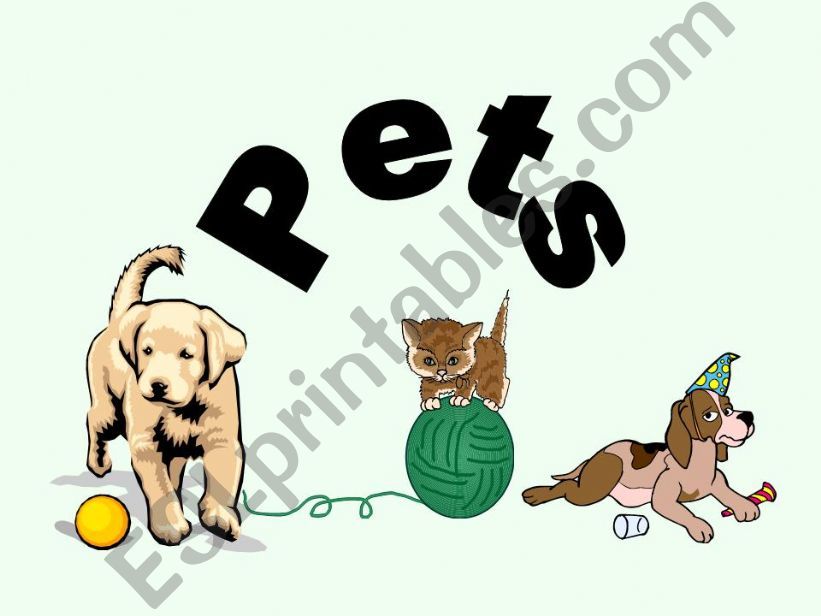 pets animals powerpoint