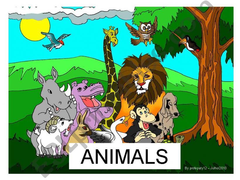 Is it a...? (Wild animals) powerpoint