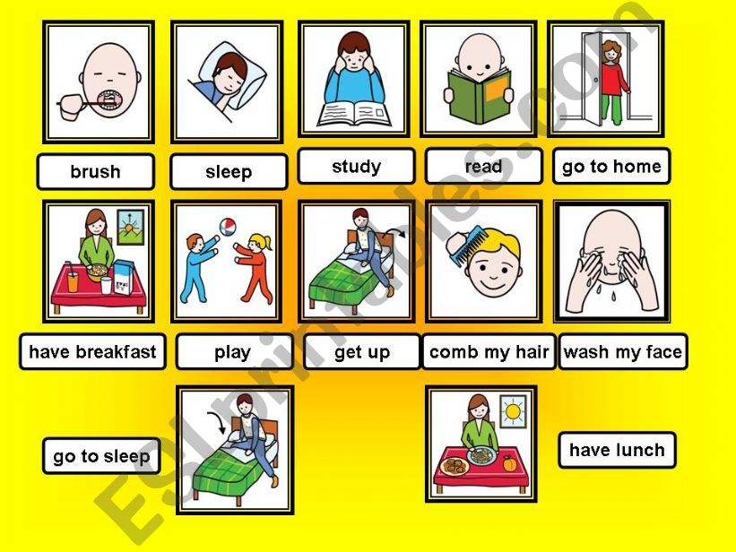 present simple and action verbs