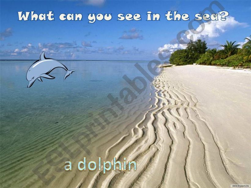 WHAT CAN YOU SEE IN THE SEA? powerpoint