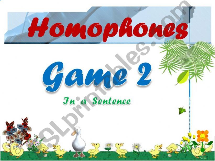 Homophones GAME 2of1 powerpoint