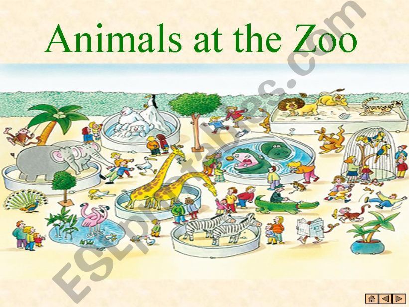 Animals at the Zoo powerpoint