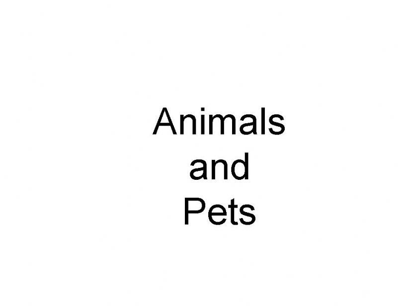 animal and pets powerpoint
