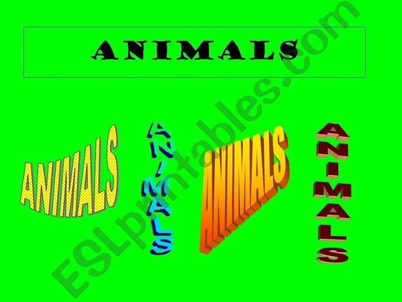 Animals powerpoint