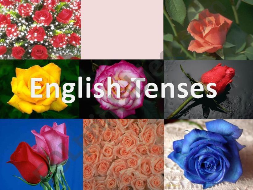 The guide of English Tenses (  part 1)