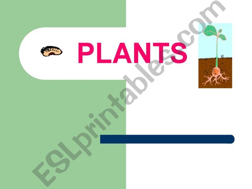 plants 1 powerpoint