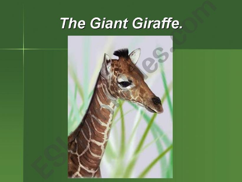 The giant giraffe powerpoint