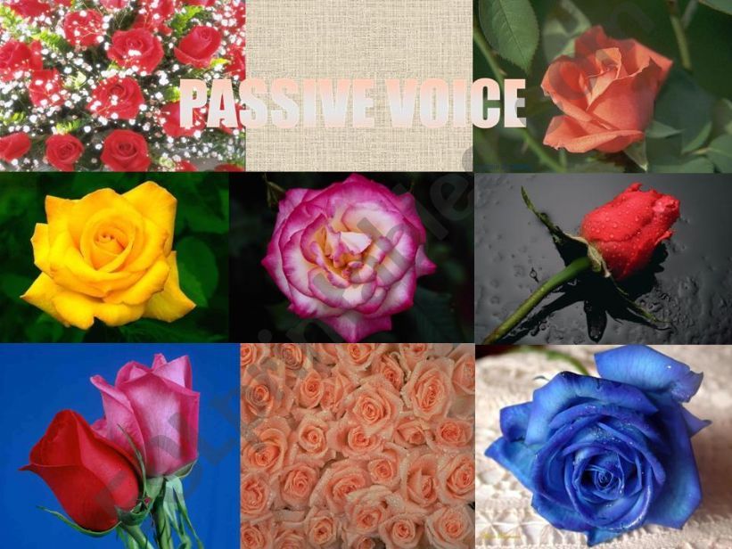 Passive Voice vs. Active voice