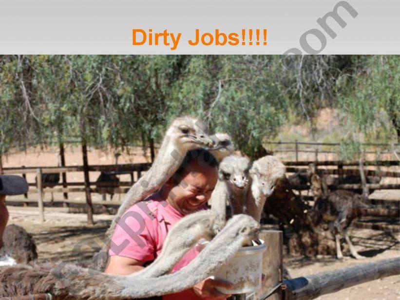 Dirty Jobs powerpoint
