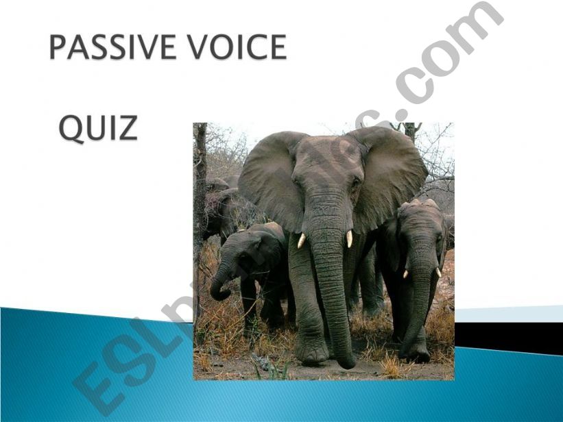 Passive Voice - quiz powerpoint