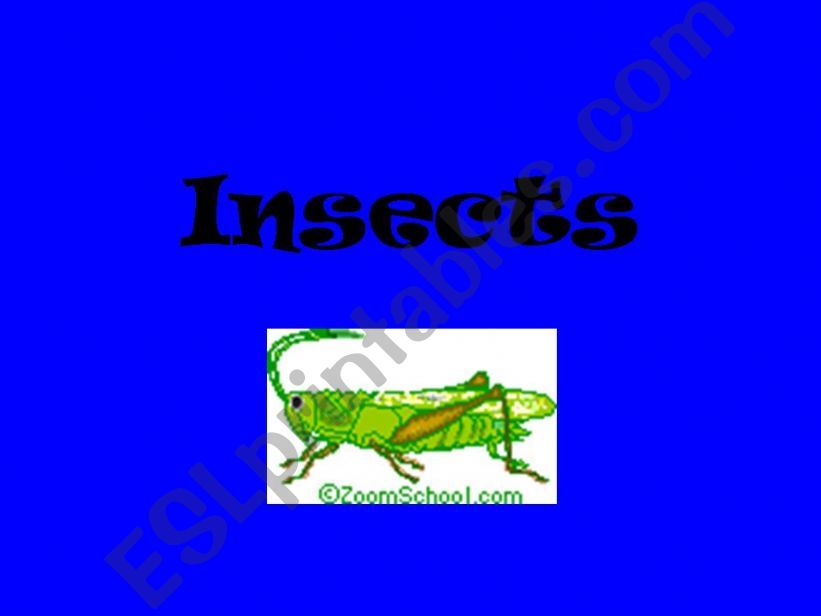 Insects powerpoint