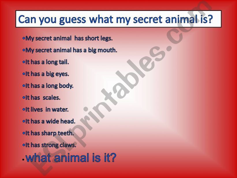 my secret animal powerpoint