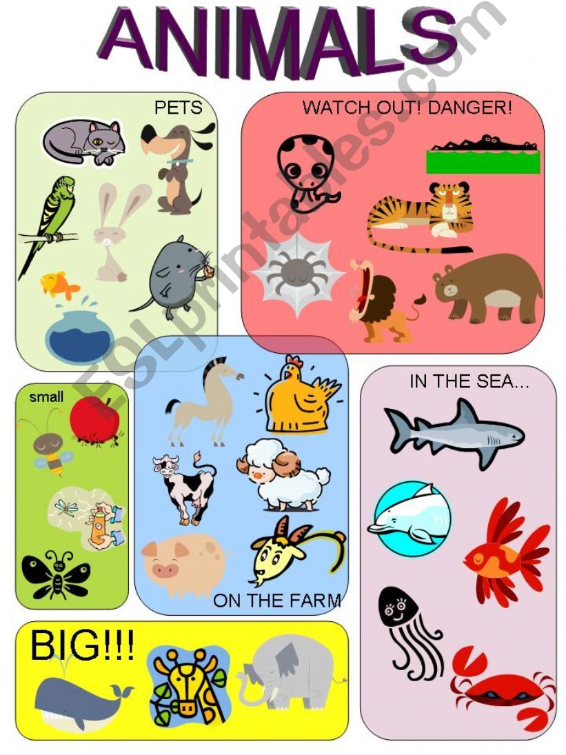 ANIMALS powerpoint