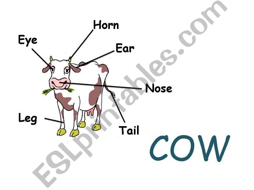 cow powerpoint