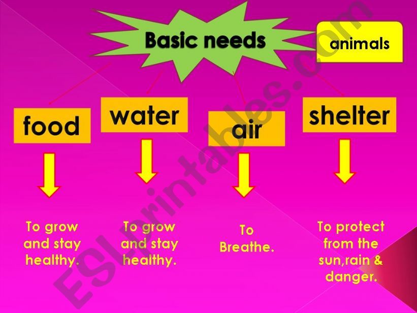 ESL - English PowerPoints: basic needs of animals and plants