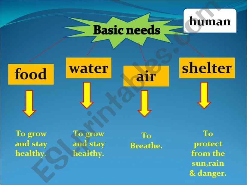 basic needs of human powerpoint