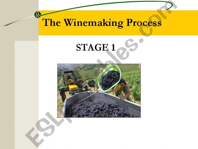Winemaking Process powerpoint