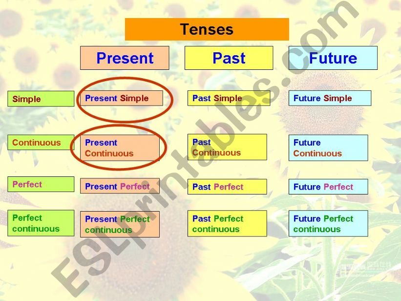 present simple and present continuous