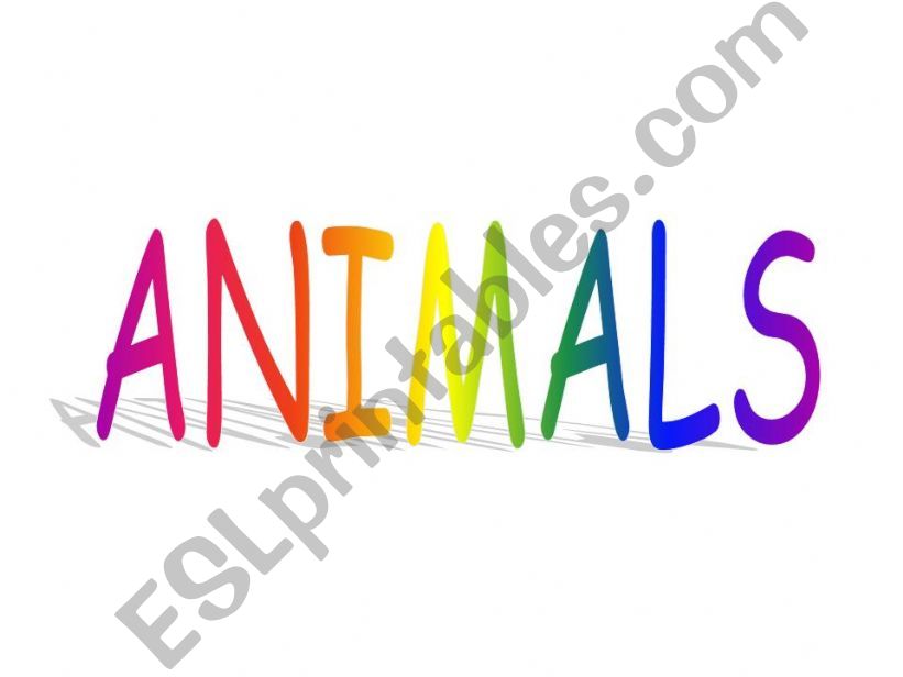 Animals powerpoint