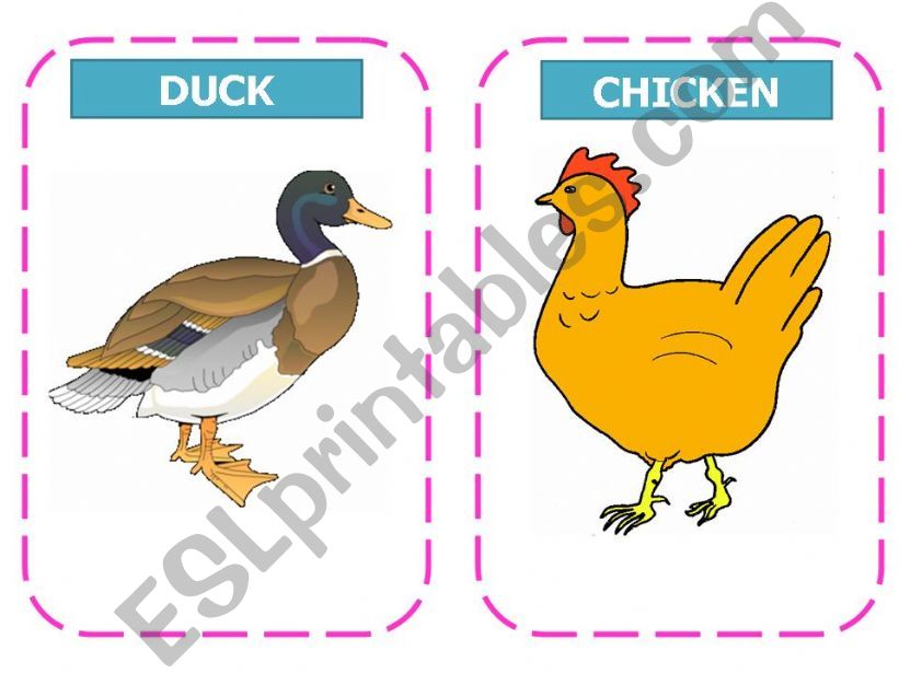 Animals flashcards - PART 2 powerpoint