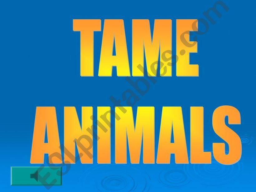 Tame Animals powerpoint
